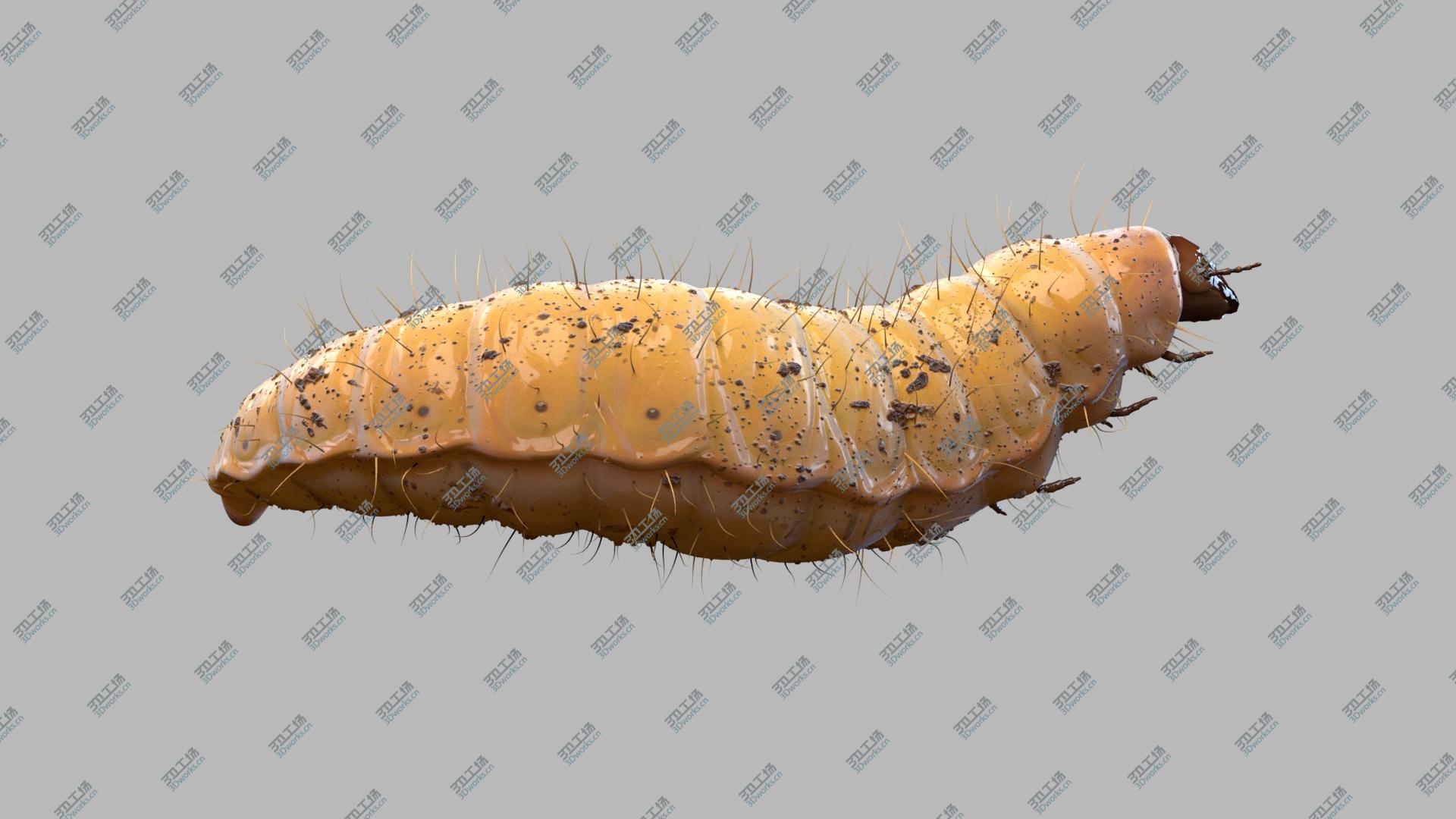 images/goods_img/2021040164/Maggot (Fur) (Rigged) 3D/3.jpg